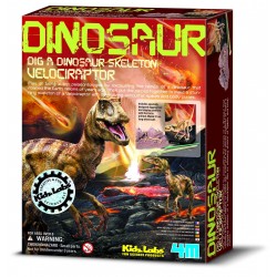 Déterre ton dinosaure...
