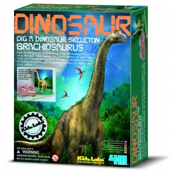 Déterre ton dinosaure...