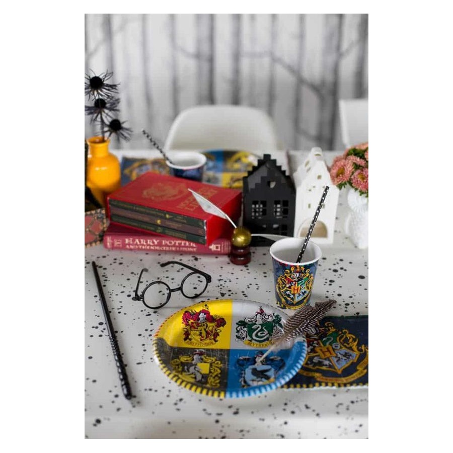 Assiettes En Carton Harry Potter