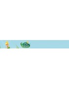 Anniversaire Fee Clochette L Amie De Peter Pan Mon Heros Anniversaire Fee Clochette L Amie De Peter Pan Mon Heros